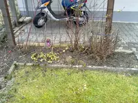 040120121004.webp
