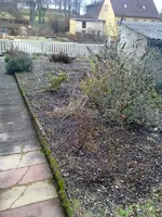 040120121009.webp