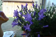 2012 03 22 002.webp