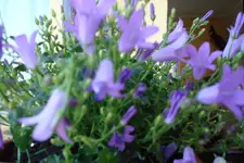 2012 03 22 008.webp