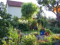 garten 007-1.webp