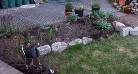 Schmuddelbeet.webp