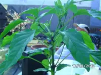 k-BILD0621.webp