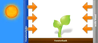 weiße_wand.webp