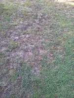 2012-03-24 09.25.50.webp