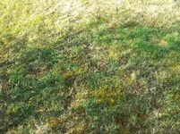 2012-03-24 09.26.07.webp