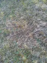 2012-03-24 09.26.20.webp