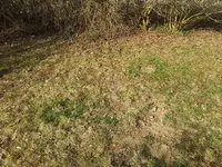 2012-03-24 09.26.35.webp