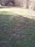2012-03-24 09.27.16.webp