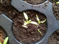 20120324_103915.webp