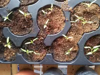 20120324_103930.webp