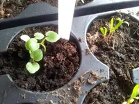 20120324_103946.webp