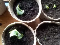 20120324_104016.webp