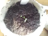 20120324_104129.webp