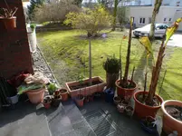 P1160347.webp