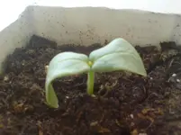 DSC00069.webp