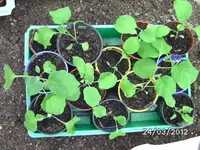 BILD0001.webp