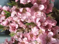 DSCF4592.webp