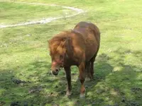 Bild 545.webp