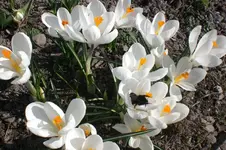 Garten 03 2012 001.webp