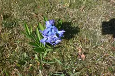 Garten 03 2012 020.webp