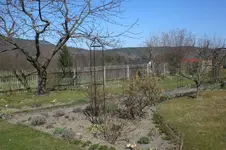 Garten 03 2012 025.webp