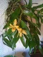 Nic25.3.12 012.webp