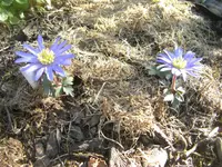 CIMG7053.webp