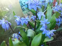 CIMG7055.webp