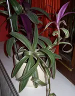 01_3.webp