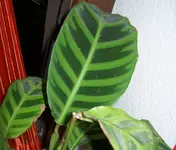 02_3.webp