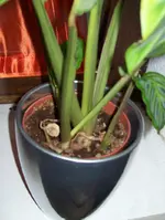 02_2.webp