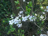CIMG7066.webp