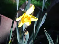 CIMG7099.webp
