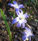 IMG_4098.webp