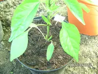 BILD0634.webp