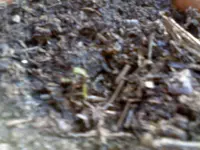 DSC0000008.webp