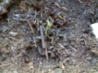 DSC0000009.webp