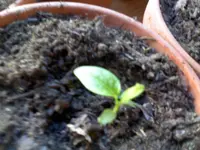 DSC0000010.webp