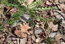 DSC_6324 versteckt.webp
