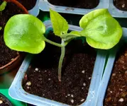 DSCF7489.2.webp