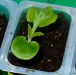 DSCF7480.2.webp
