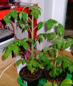 DSCF7503.2.webp
