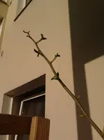 2012-03-26 18.02.33.webp