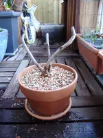 Afbeelding 094.webp