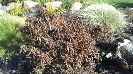 25032012531.webp