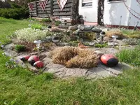 Teichlandschaft.27.03.2012~1.webp