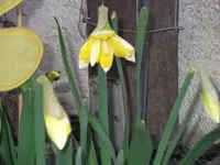 DSCF1659.webp