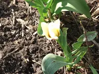 DSCF1664.webp