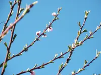 DSCF1670.webp